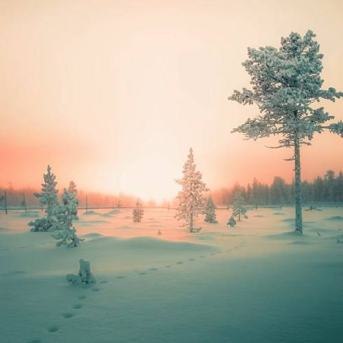 ابوالفضل رضایی پر شدی از درد و غم مردمه ناسازگار